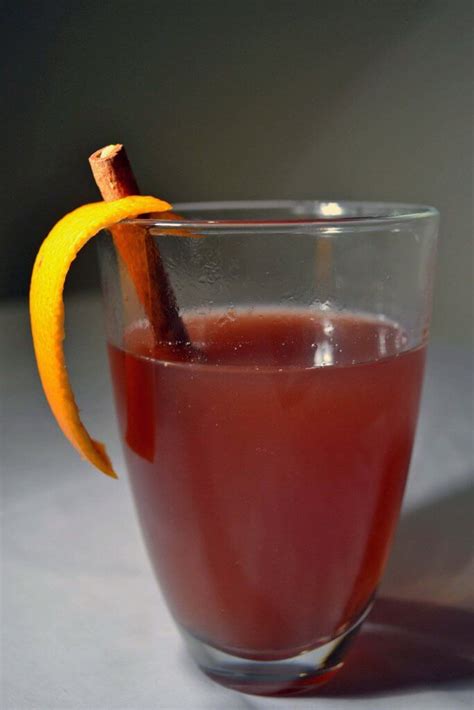 Mulled Sloe Gin The Gin Queen