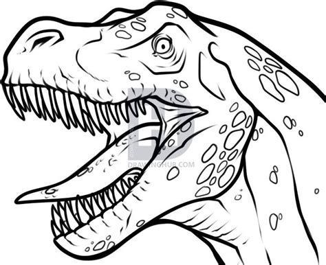 Pin by Maddox Morrison on Art | Dinosaur drawing, How to draw a t-rex