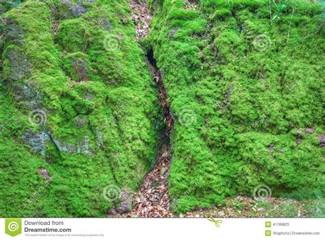 Moss Covered Stone Wall Texture Stock Photography