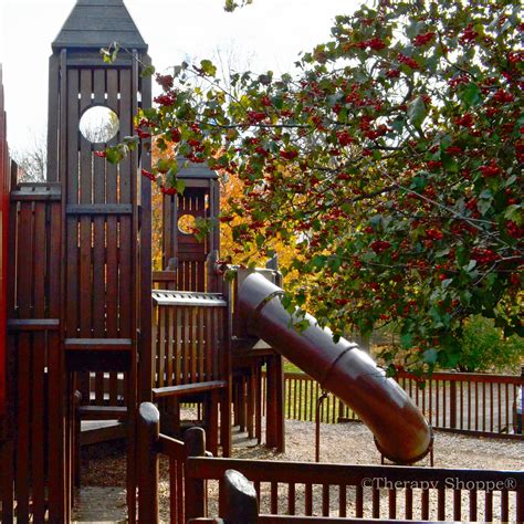 Awesome Wooden Playground In Grand Rapids Michigan Wooden