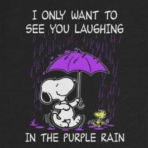 Purple Rain Peanuts Cartoon Quotes Rain Quotes Peanuts Gang Purple Rain Favorite Quotes
