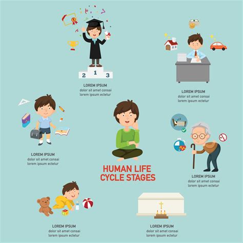 5 Life Cycle Stages