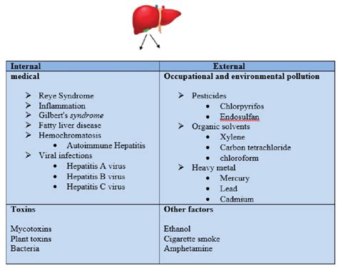 Etiological Factors Of The Liver Injury Download Scientific Diagram