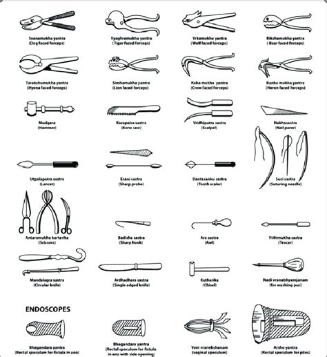 Surgical Instruments From The Sushruta Samhita Download Scientific