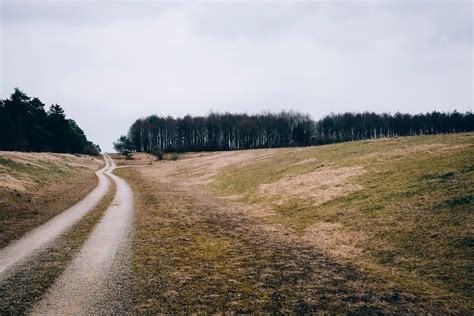 A Dirt Path In A Rural Area Near A Forest In Bavaria Dirt Path By A