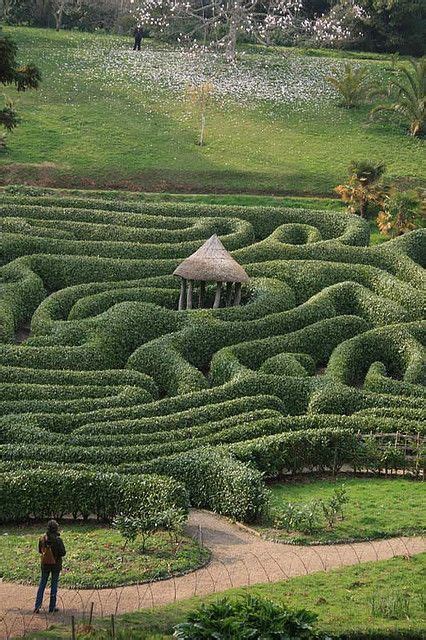 Glendurgan Garden Maze Beautiful Gardens English Garden English