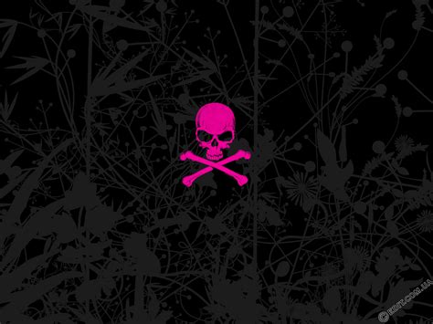 We have a massive amount of desktop and mobile backgrounds. It's HD | Animals-Funny-Wallpapers: pink skull wallpapers