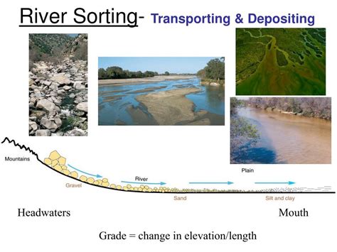 Ppt Sedimentary Rocks Powerpoint Presentation Free Download Id2689116