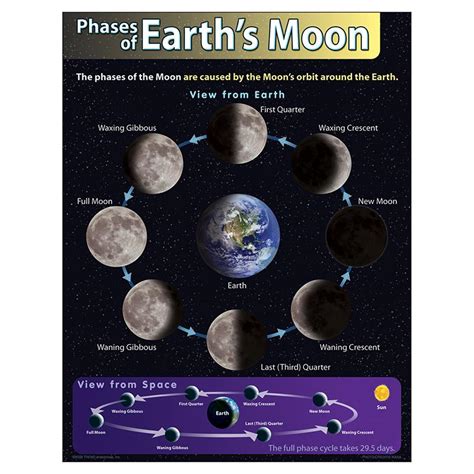 Chart Phases Of Earths Moon Classroomdecorations