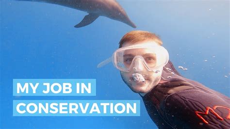 Everything I Loved About Working In Marine Conservation Working As A
