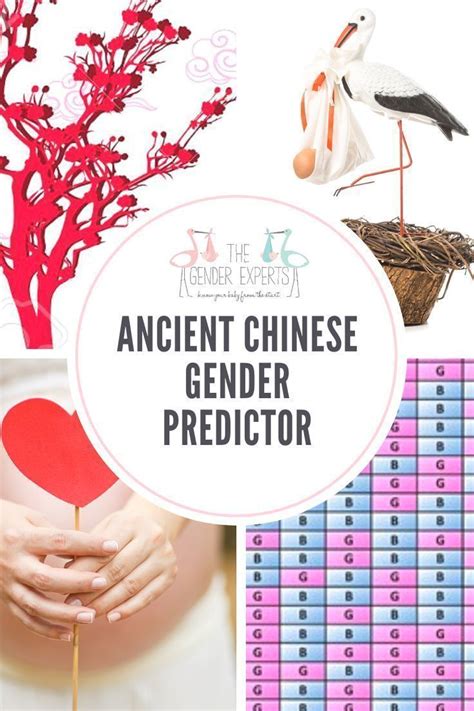 Gender Charts Calculators Use Accurate Gender Prediction Tools Artofit