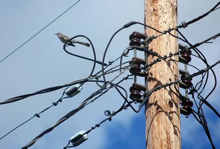 Interdependence tree project in huntsville, alabama. Large power outage in central Huntsville | AL.com