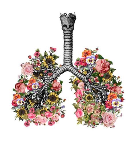 Flower Lungscolorful Floral Lungs Flower Lungs Anatomical Arte De