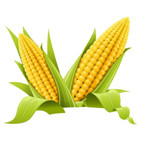 Corn Clipart Svg Corn Svg Transparent Free For Download On Sexiz Pix