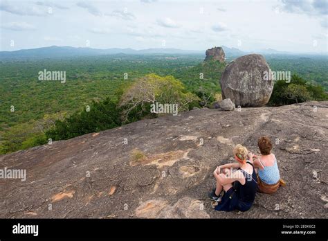The Lion Rock In Sigiriya Seen From Pidurangala Sri Lanka Stock Photo