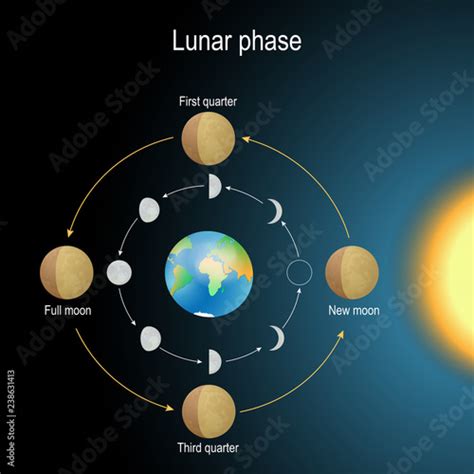 Lunar Phase Phase Of The Moon Stock Image And Royalty Free Vector