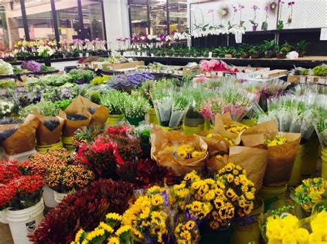 Wholesale flowers, floral supply wholesale, flower market, new england flower exchange, new england, greater boston, massachusetts wholesale, plants, cut flowers, boston flower exchange inc is located in boston city of massachusetts state. Quinlan-Wasserman delivers with Metrobi
