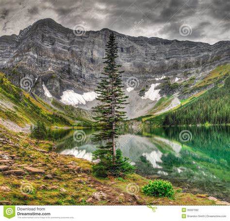 Scenic Mountain Views Stock Photo Image Of Forest Grasslands 35587092