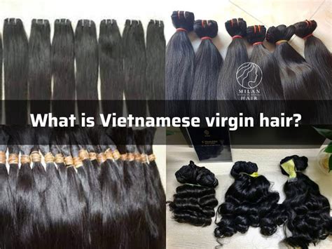 Vietnamese Virgin Hair The Best Wholesaler Of Vietnamese Virgin Hair