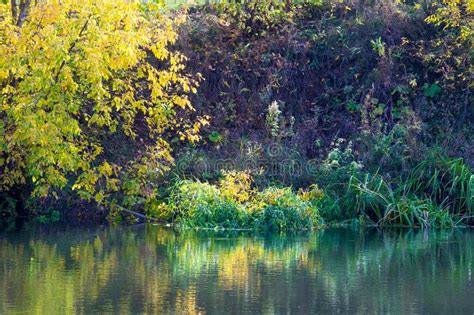 Autumn Landscape River Autumn Trees Of Different Colors The O Stock
