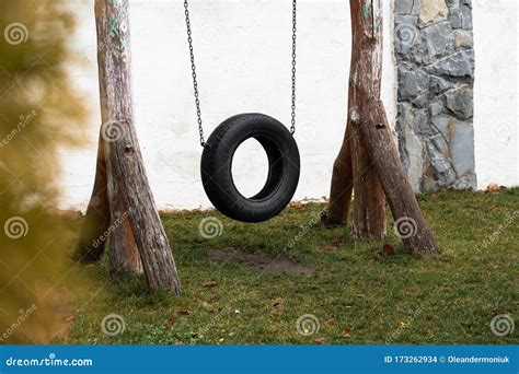 Tire Swing Hanging From A Tree In A Summer Garden Concept Photo Of
