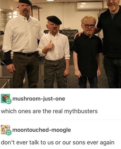 mythbusters meme