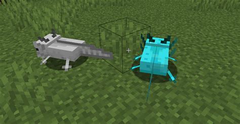 More Axolotl Variants Mod Candc Backport Add On Minecraft Mods