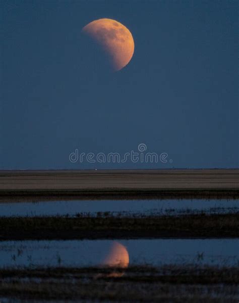 Full Moon Canada Stock Photo Image Of Fine Night Full 269772072