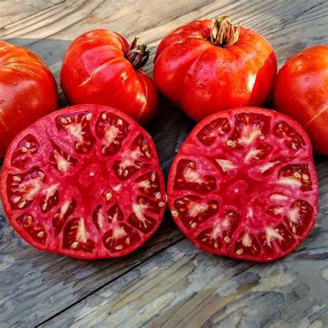 Ukrainskiy Velikan Beefsteak Tomato Meraki Seeds