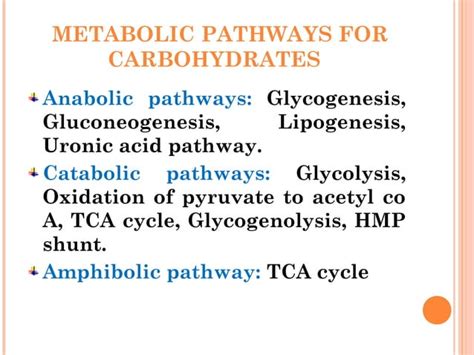 Carbohydrate Metabolism Part 1