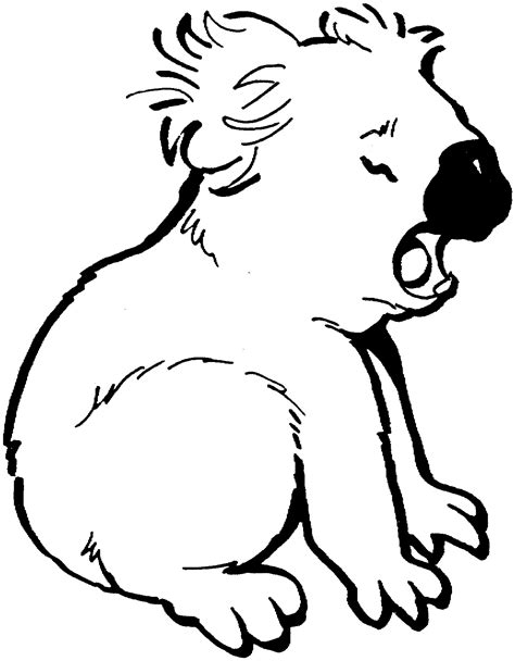Koala Bear Coloring Page Free Coloring Page Template Printing