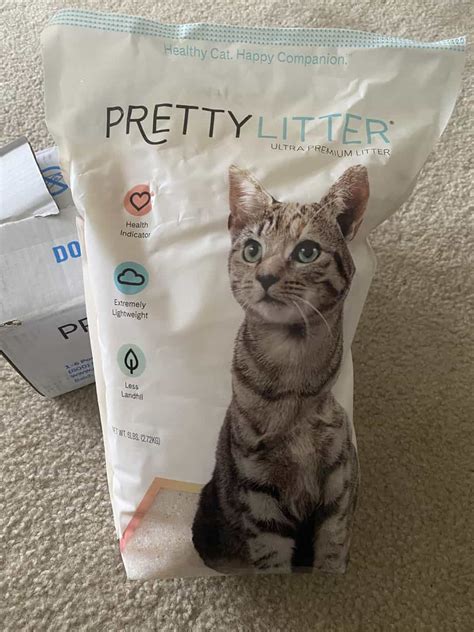 Prettylitter Review Is This Cat Litter Worth Buying In 2022 Oliveknows