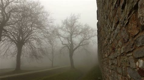 Old Historical Ancient Castle Walls And Forest In Misty Foggy Day Stock