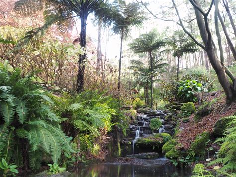 Choose from more than 1,500 properties. 5 things to enjoy at Mount Lofty Botanic Garden this ...