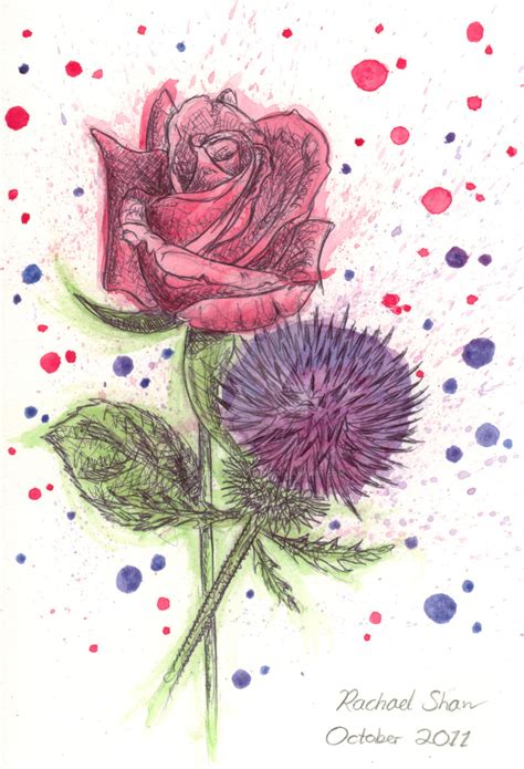 A Rose And Thistle By Thepotatostabber On Deviantart