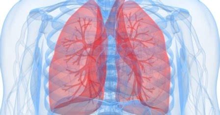 Bronquitis Respiratoria Enfermedad Pulmonar Intersticial Femexer