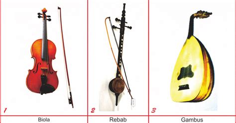 Menurut fungsinya, alat musik terbagi menjadi 3 yakni harmonis, melodis, dan ritmis. 7 Alat Musik Tradisional Kepulauan Riau Lengkap, Gambar dan Penjelasannya