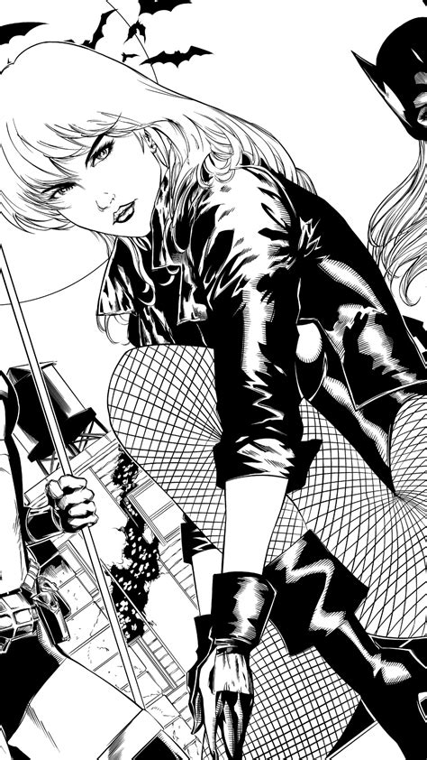 Comics Gotham City Sirens Batgirl Black Canary Huntress Dc Comics