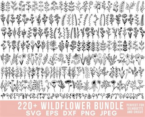 220 Wildflower Svg Bundle Wildflower Vector Wildflower Etsy