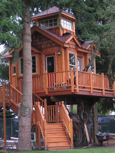 treehouse created in 2006 auburn wa mick b and david b cool tree houses beautiful tree houses