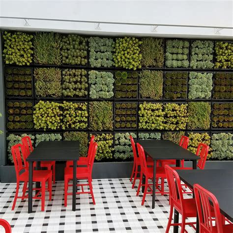 Tournesol Siteworks Vgm Modular Living Wall System Is An Outstanding