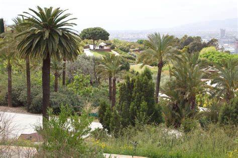 Hello guys, do u think its worth it to come to the garden in february? Botanischer Garten in Barcelona: Jardi Botanic ♥ Lohnt ...