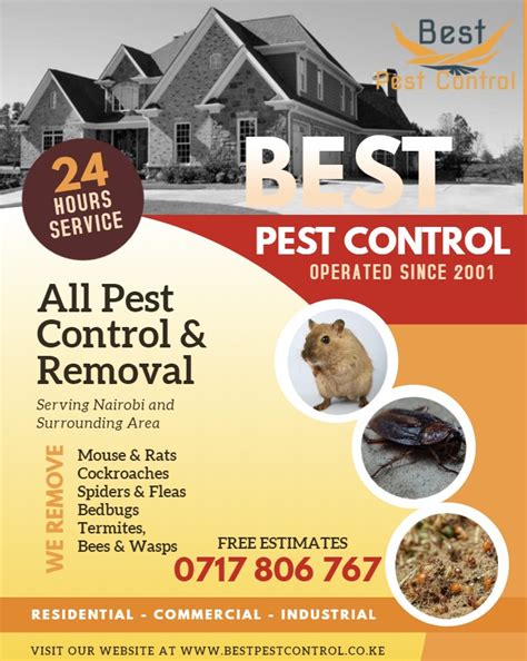 Pest control, lizard pest control, cockroach pest control, termite pest control, ant pest control, general pest control, spider pest control, bed bug pest control. Cockroach Control Mombasa | Bepeco Kenya | Best Pest ...