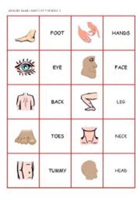 512 mb (1 gb recommended). PARTS OF THE BODY MEMORY GAME (2/2) - ESL worksheet by ...