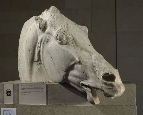The Head Of One Of The Horses That Drew The Chariot Of Selene British