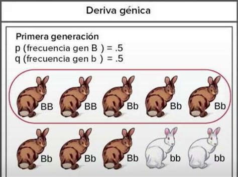 Deriva GenÉtica