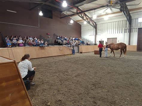 Usa Equestrian Trust Opens 2023 Grants Program For Equine Non Profits