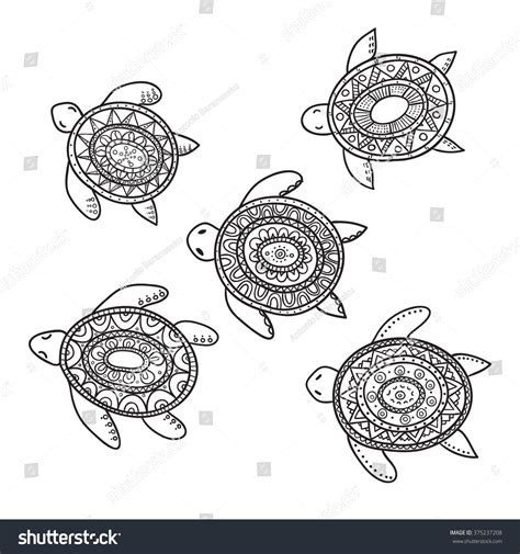 Set Of Five Cute Decorative Ornamental Turtles Vector Doodle