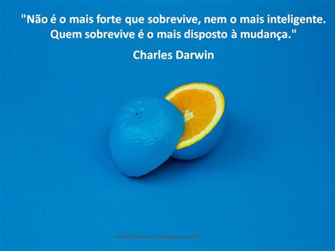 Descarga Gratis 10 Imágenes Con Frases Motivadoras En Portugués