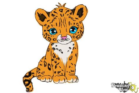 How To Draw A Cartoon Cheetah Drawingnow